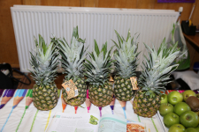 Health Fayre 2016 51